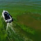 LimnoTech boat pilots through an algae bloom in Lake Erie.